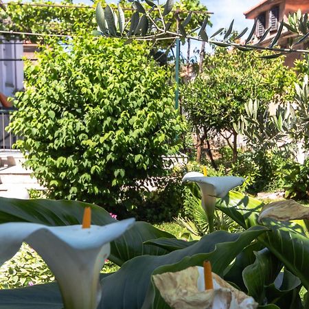 Marjan Hill 3-Br Apt,5 Guests Private Garden Near Beach Split Eksteriør billede