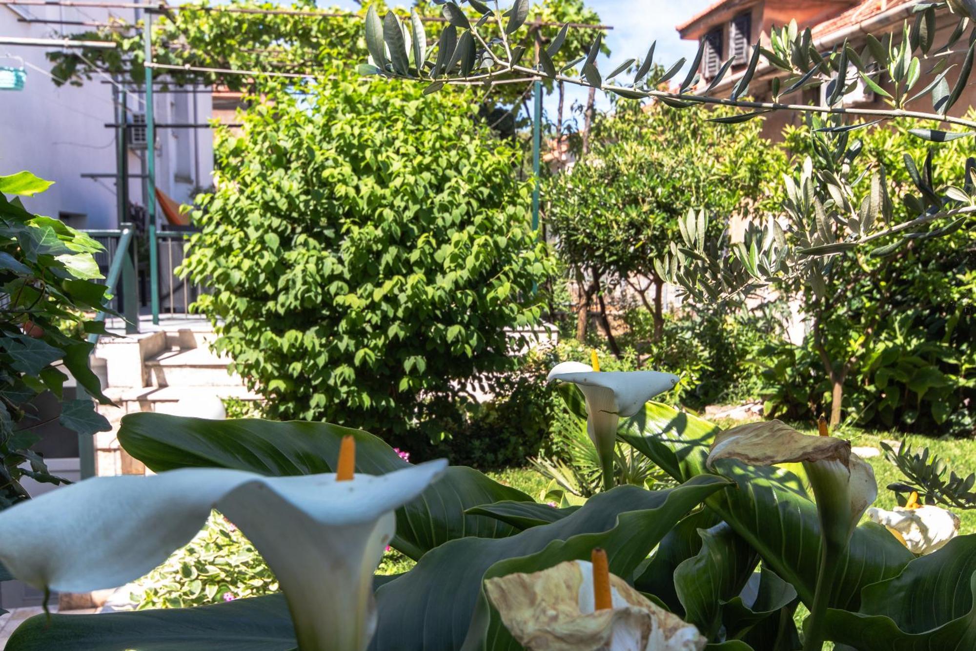 Marjan Hill 3-Br Apt,5 Guests Private Garden Near Beach Split Eksteriør billede